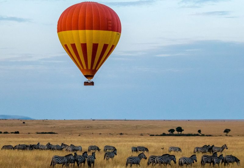 balloon-safari-mara-travels