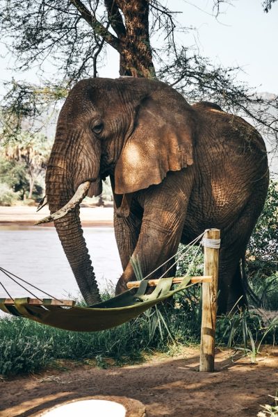 harshil-gudka-bhsp1bn1_Uo-unsplash