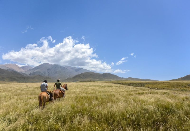 horseback-safaris
