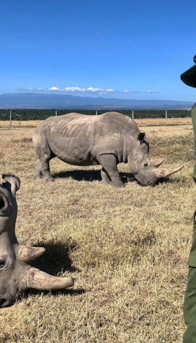 rhino-sanctuary-ol-pejeta
