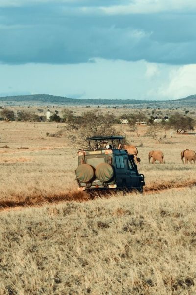 tour-vehicle-wildlife-viewing-game-drives