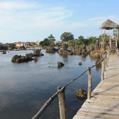 wasini-island-coral-reef-bridge